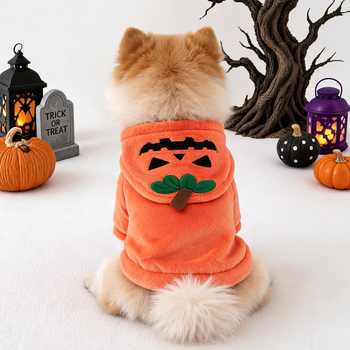 Creative Cosplay Clothes for Small Medium Dogs Bear Tiger Animal Flannel Cat Hoodie New Year Winter French Bulldog Puppy Outfits