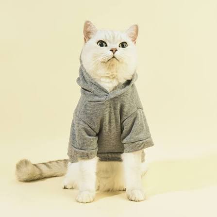 Cat Apparel