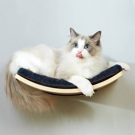 Cat Beds