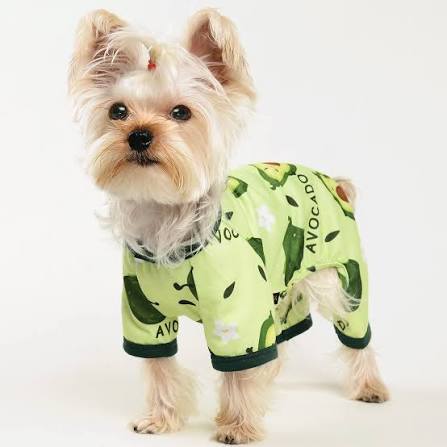 Dog Apparel