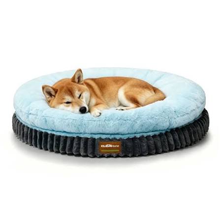 Dog Beds