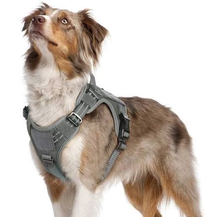 Dog Harnesses