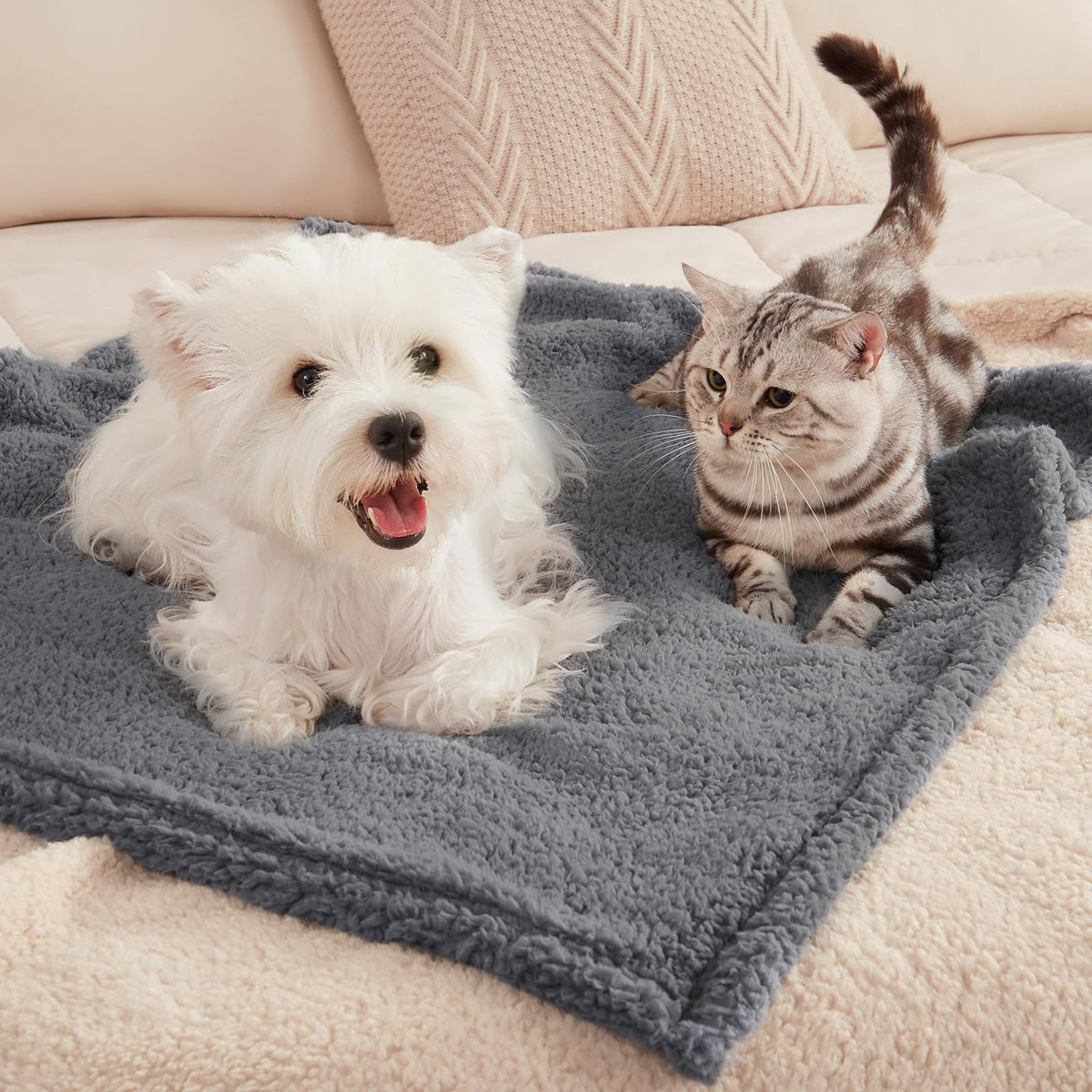 Pet Blankets