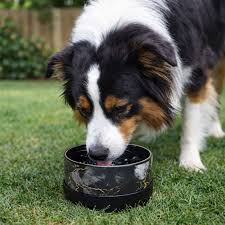 Pet Bowls