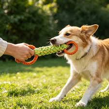 Tug & Rope Dog Toys