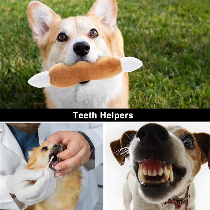 10/20/50 Pack Dog Squeaky Toys Plush Games Cute Plush Toys for Small Medium Dog Fleece Toys