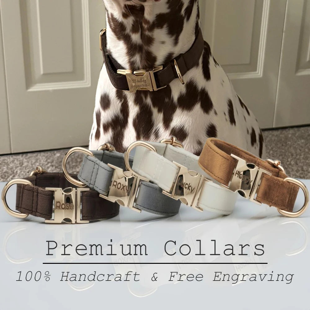 Multiple Colour Velvet Personalise Dog Collar Leash Set with Bow,Brown+Grey+White,Engraved Pet Name Plate Metal Buckle