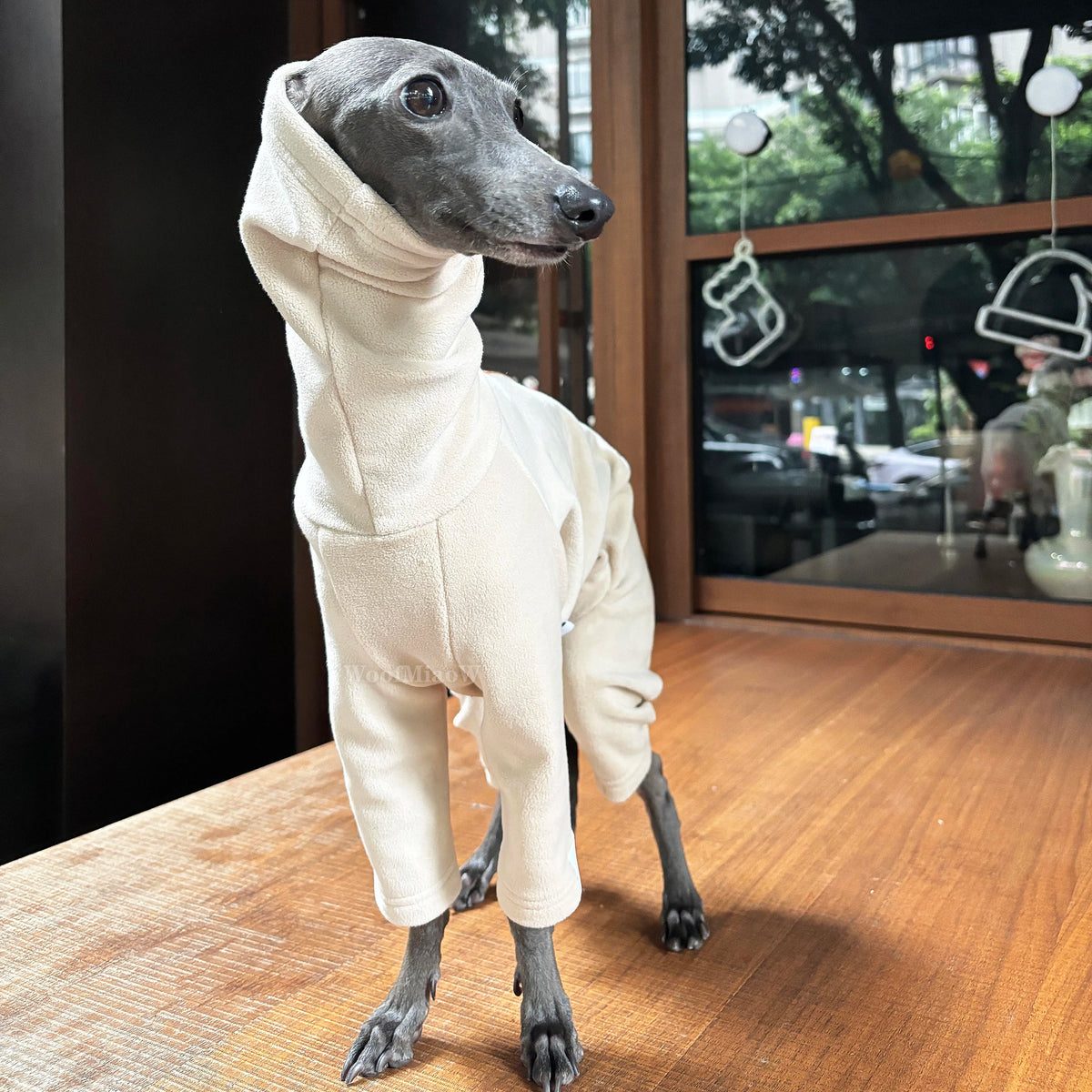 Dog Clothes for Italian Greyho with Hat  Pure Color Four-legged Clothing Soft Stretchy Whippet Clothing Winter Warm Dog Clothing