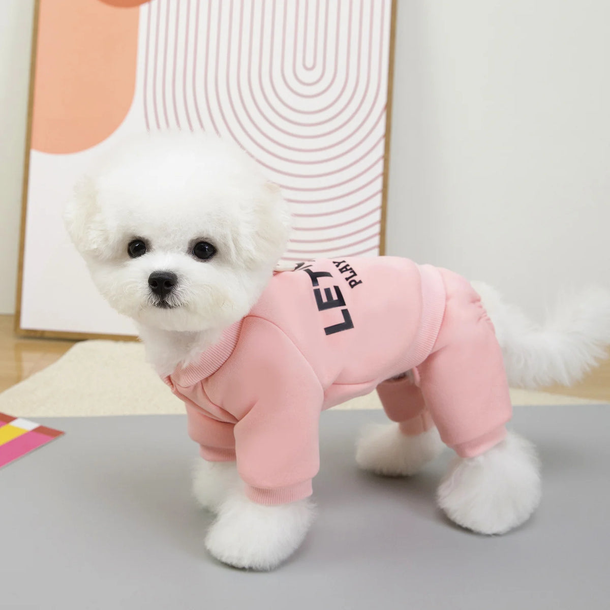 Winter Warm Pet Dog Coat Thicken Soft Dog Hoodies Jumpsuit For Small Medium Dogs Autumn Comfortable Puppy Clothes Pet Supplies
