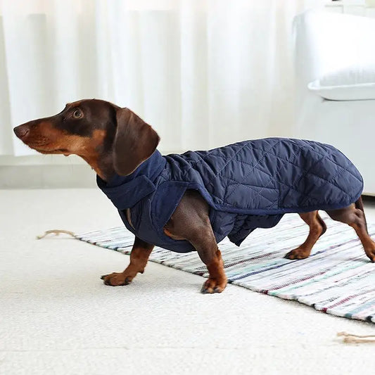 Thermal Winter Coat for Dachshund, Water-Resistant Nylon Jacket with Collar Hole, Keep Dogs Warm