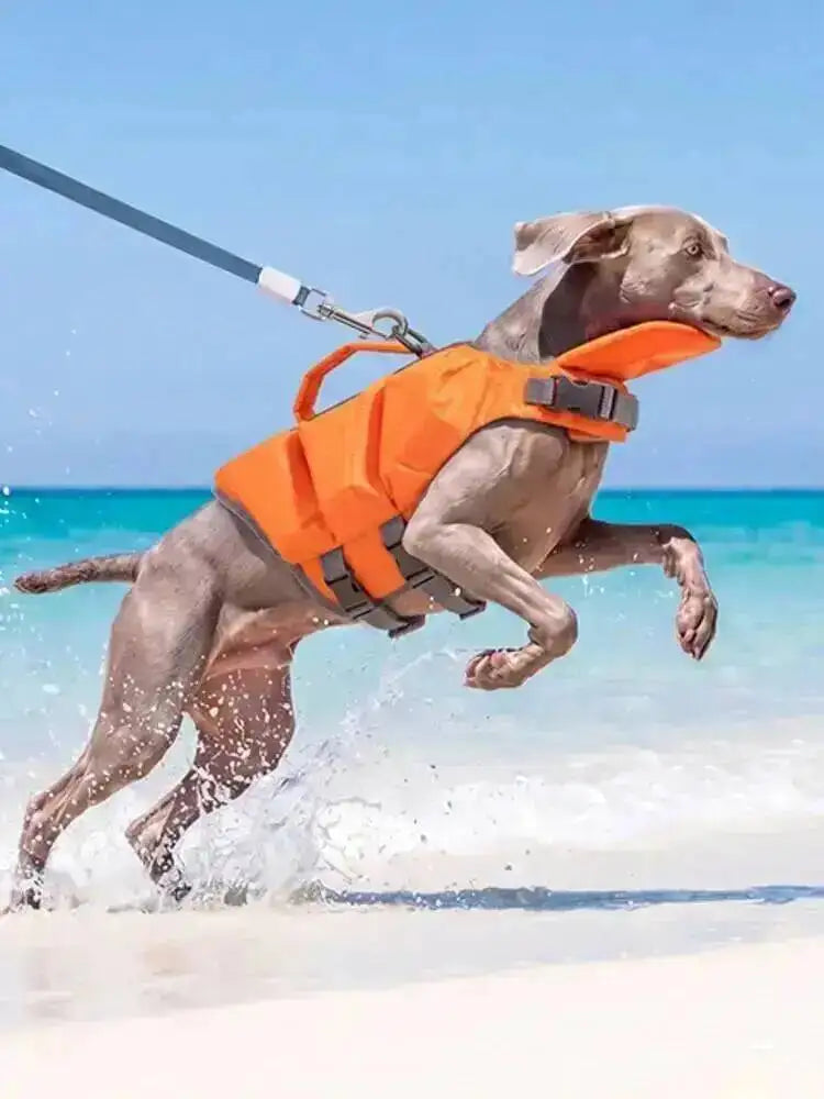 High Buoyancy Dog Life Jacket Adjustable Safety Flotation Vest For Small Medium Large Dogs Swimming Activities