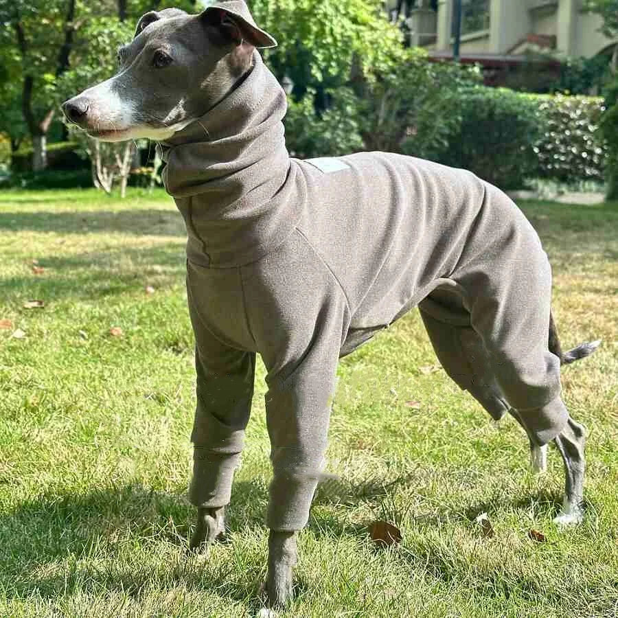Spring Winter Velvet Four Leg Sweatshirt for Huibit Autumn Warm Green Coat for Bedlington Italy Greyhound Coffee Black Pajamas