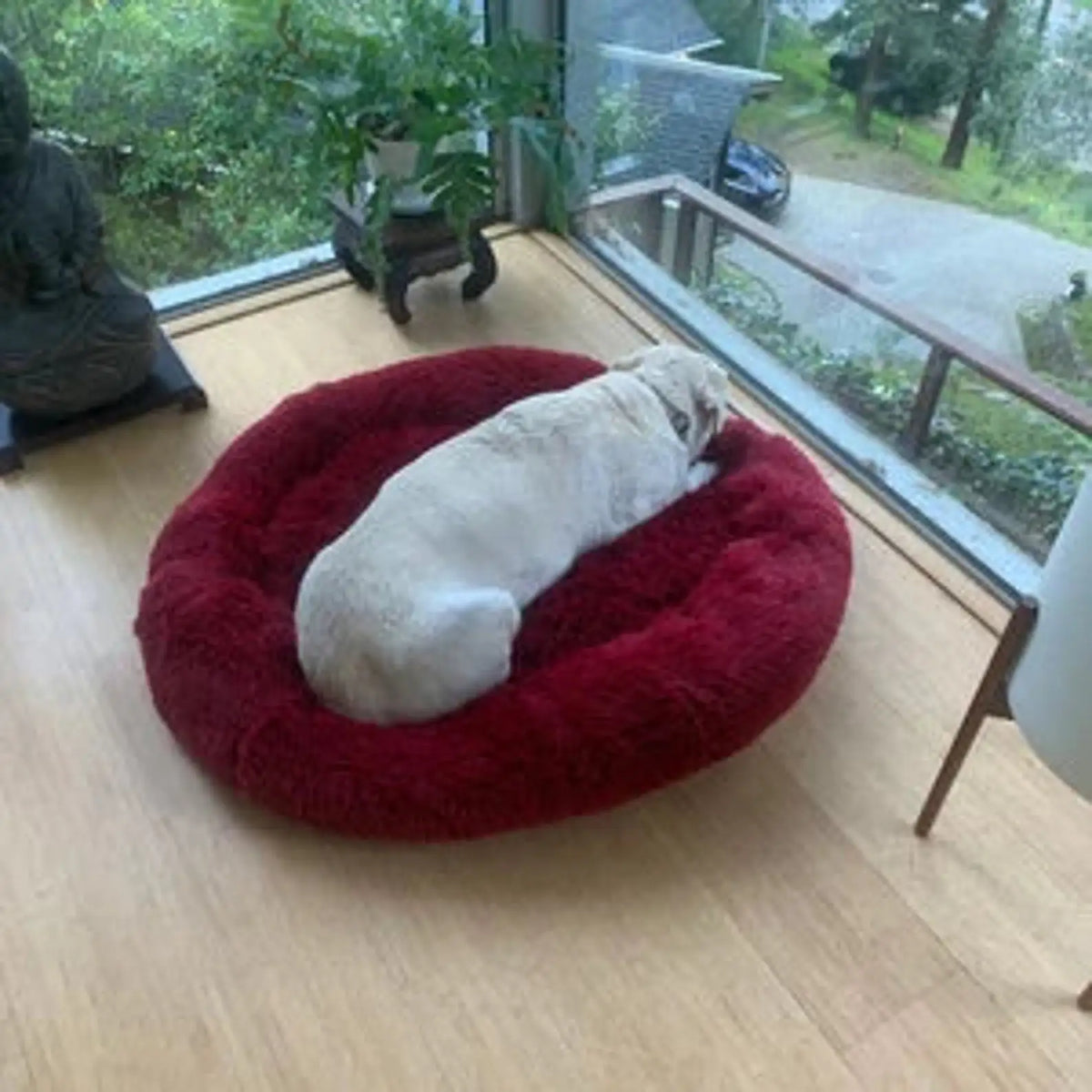 Orthopedic Donut Dog Bed - Calming Anti-Anxiety Pet Sofa Lounger, Washable for Small Large Dogs Cats, Comfortable Memory  Mat