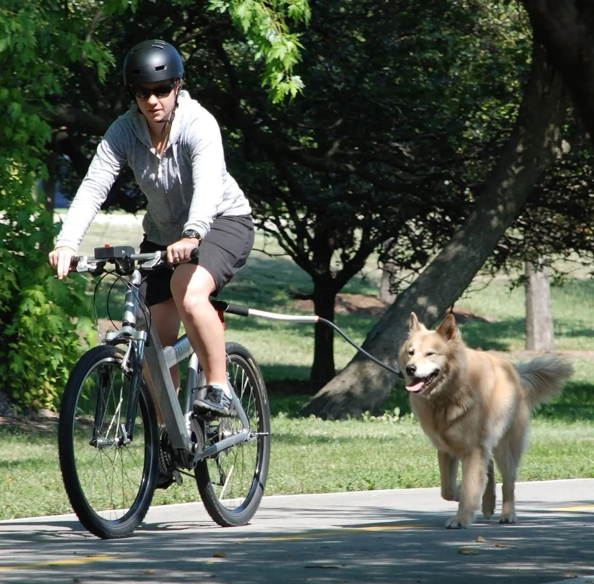 Bicycle Walking Dog Leash, Dog Leash, Removable Elastic Dog Bicycle Leash, Metal Leash