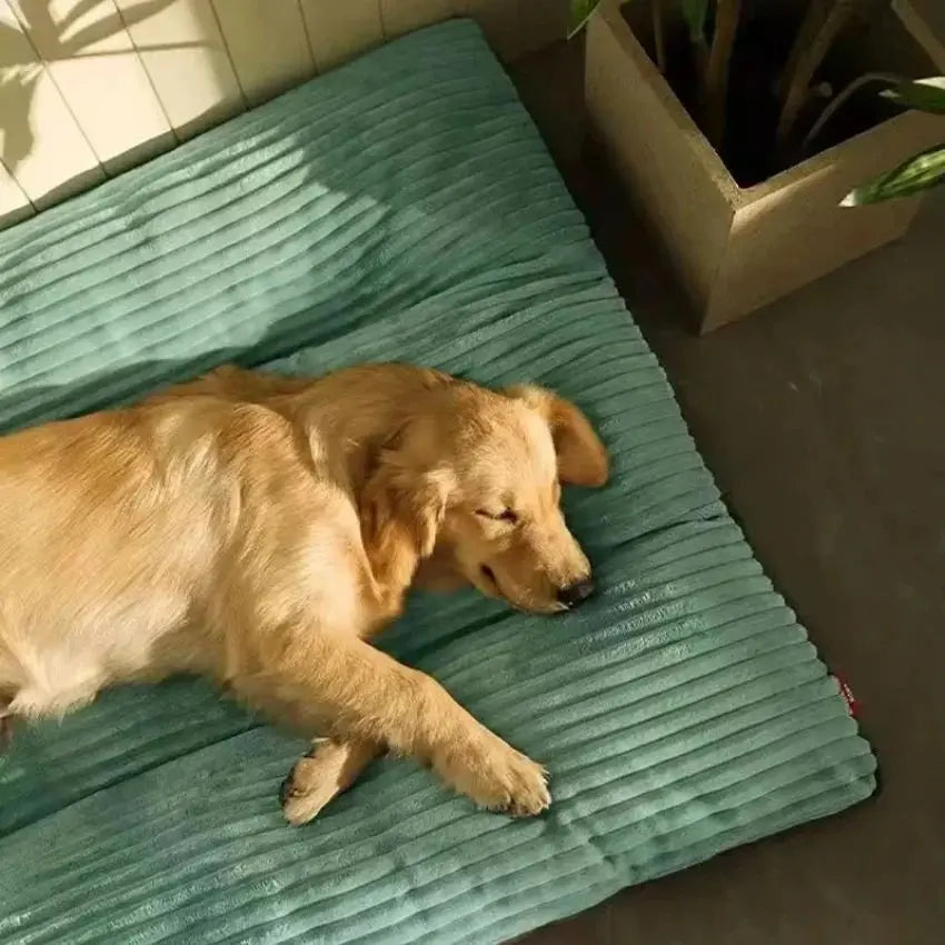 Detachable Washable Dog Bed Mat Thick Warm Pet Sleeping Cushion Soft Comfort Kennel Pad For Large Medium Small Dogs Indoor Use