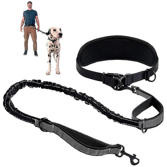 Hands Free Dog Leash Dog Waist Leash With Lumbar Support Belt Multifunctional Extendable Dog Leash Reflective Bungee Leash Black