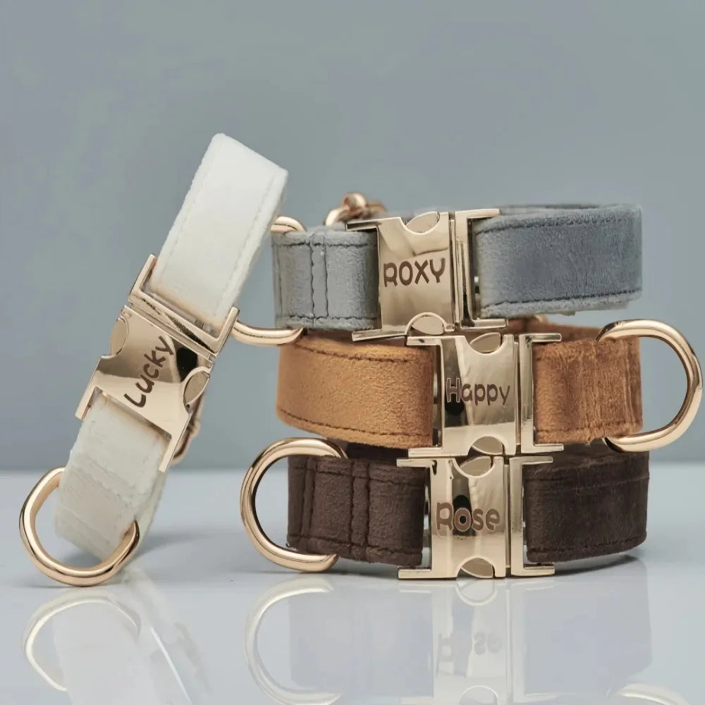 Multiple Colour Velvet Personalise Dog Collar Leash Set with Bow,Brown+Grey+White,Engraved Pet Name Plate Metal Buckle