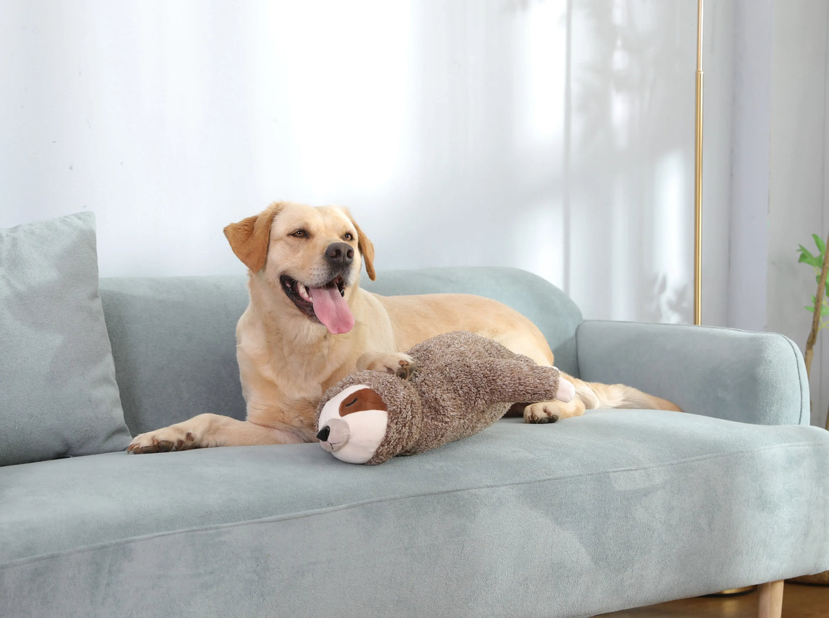 Dog Forest Sloth Puppy Heartbeat Toy for Stress Relief and Soothing, Sleep Aid Crate Training Puppy Toys