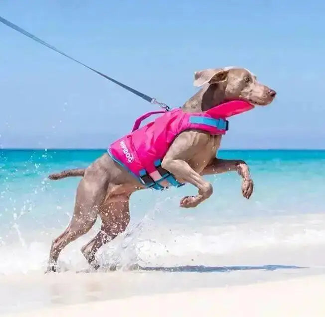 High Buoyancy Dog Life Jacket Adjustable Safety Flotation Vest For Small Medium Large Dogs Swimming Activities