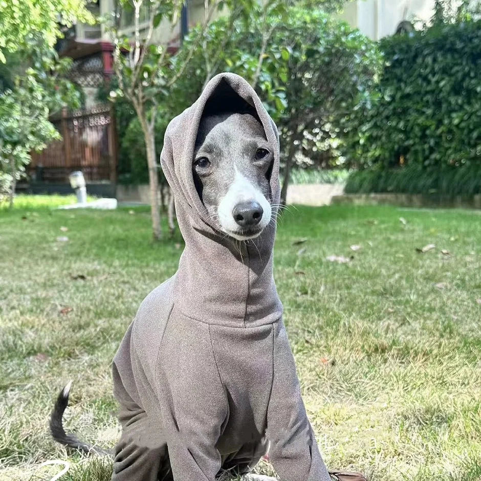 Spring Winter Velvet Four Leg Sweatshirt for Huibit Autumn Warm Green Coat for Bedlington Italy Greyhound Coffee Black Pajamas