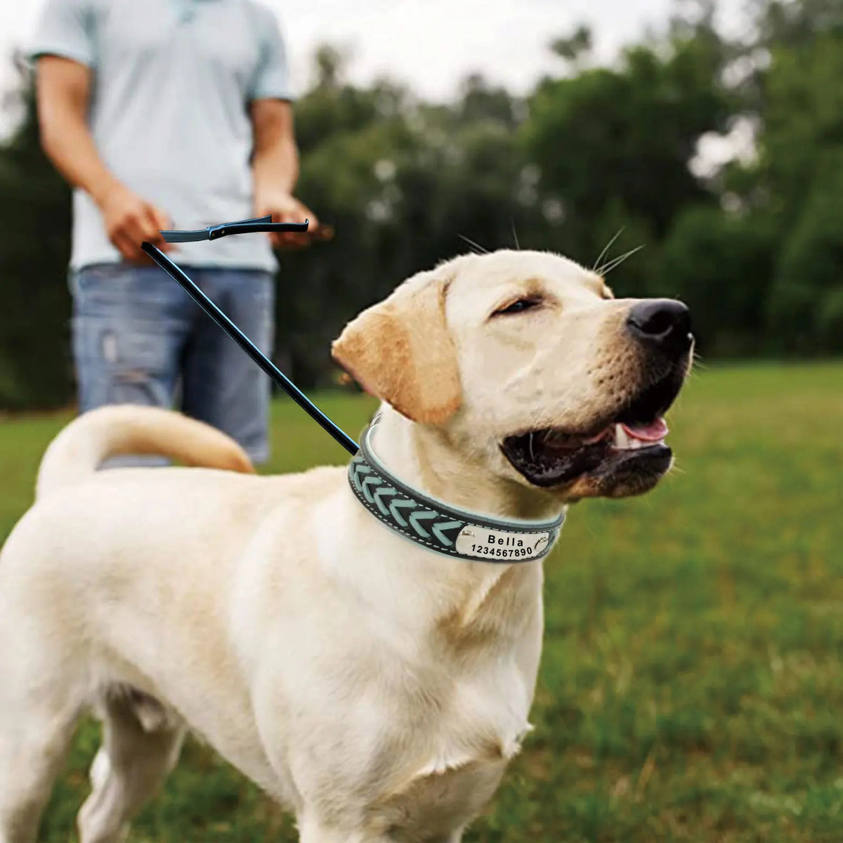 Engraved Leather Dog Collar Braided Persoanzled ID Tag Collars Nameplate Customized Pet Collar Leather Pet Walking Leash Leads